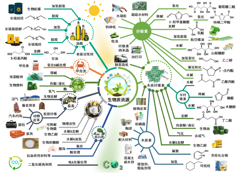 绿色能源新风向：再生能源公司引领未来趋势
